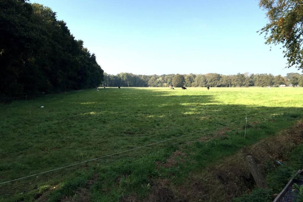 Natuurhuisje Veluwe Met Houtkachel En Pizzaoven Villa Ermelo Esterno foto